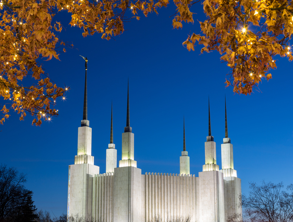 Mormon temple in Washington DC with xmas lights by Steve Heap