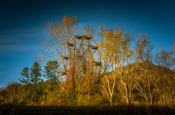 Ferris Wheel ride at abandoned funfair  by Steve Heap