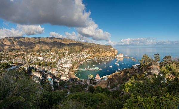 Bay of Avalon on Catalina Island by Steve Heap