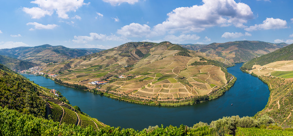 Vineyards line the Douro valley in Portugal by Steve Heap
