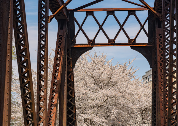 Steel girder bridge carries the bike walking trail over Deckers  by Steve Heap