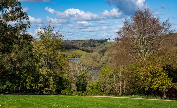 View across the rolling countryside of Cornwall by Steve Heap