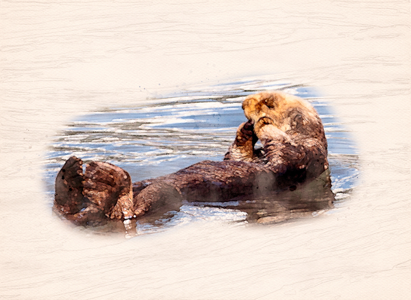 Digital watercolor of Sea Otter floating in the sea by Steve Heap