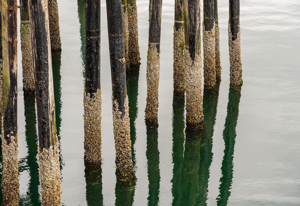 Old wooden pier structure in bay at Icy Strait Point in Alaska by Steve Heap