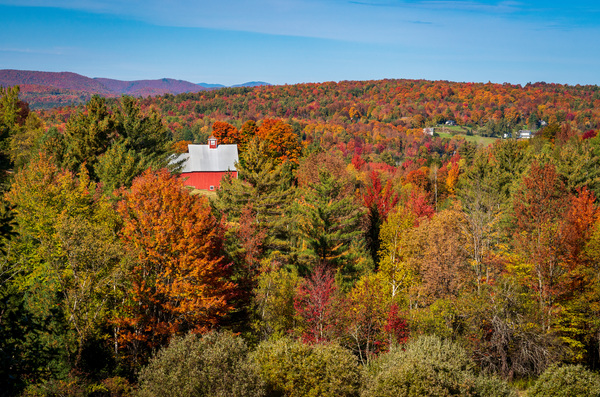 Grandview Farm barn with fall colors in Vermont by Steve Heap