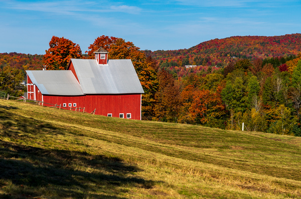 Grandview Farm barn with fall colors in Vermont by Steve Heap