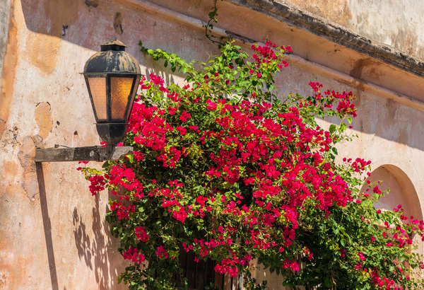Street lamp in Unesco historical town of Colonia del Sacramento by Steve Heap