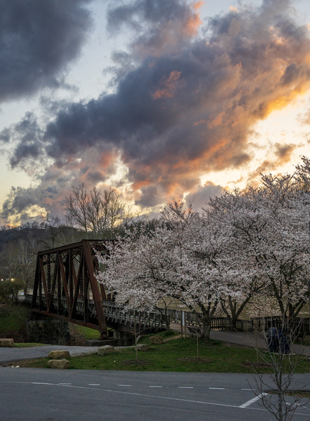 Steel girder bridge carries the bike walking trail over Deckers  by Steve Heap