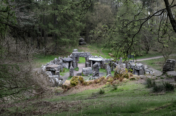 Standing stones of the Druids Plantation in Nidderdale by Steve Heap