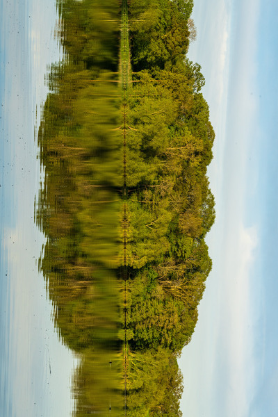 View across the Mere to a reflection of distant trees in Ellesme by Steve Heap