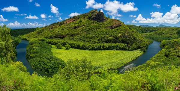 Wailua River bends around a meadow on Kauai by Steve Heap