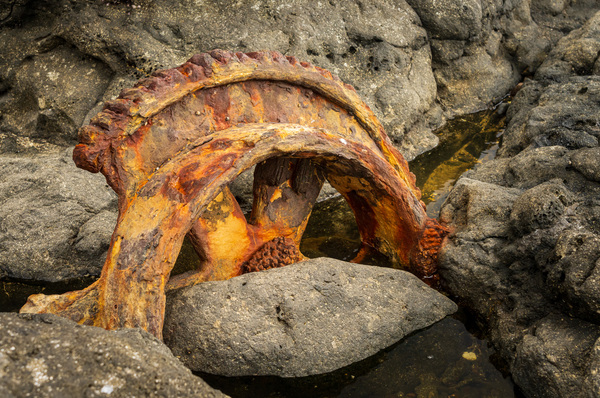 Sugar industry equipment abandoned on Mokolea Point by Steve Heap