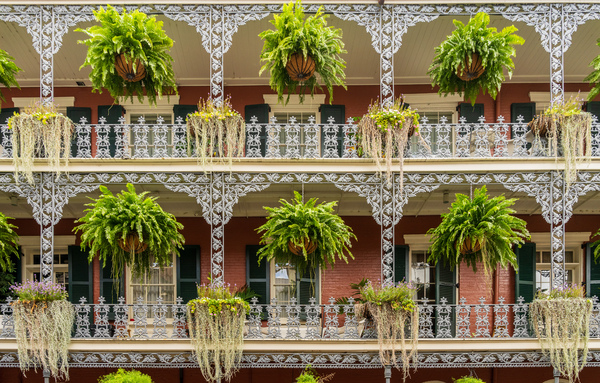 Traditional wrought iron balcony on brick New Orleans house by Steve Heap