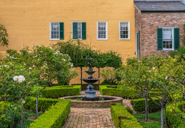 Small tree filled garden in French Quarter of New Orleans by Steve Heap