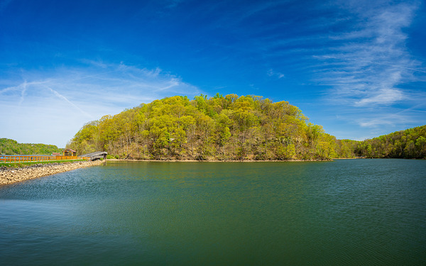 Reflection of spring leaves in Cheat Lake Park near Morgantown by Steve Heap
