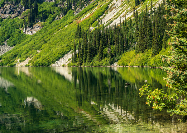 Mirror image reflection of Rainy Lake in North Cascades National by Steve Heap