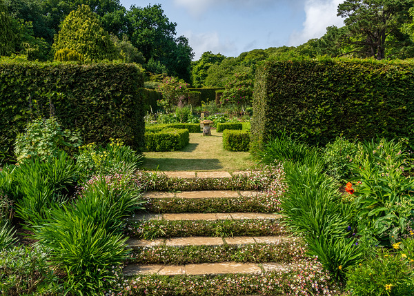 Stone steps into a hedged flower garden on the Isle of Wight by Steve Heap