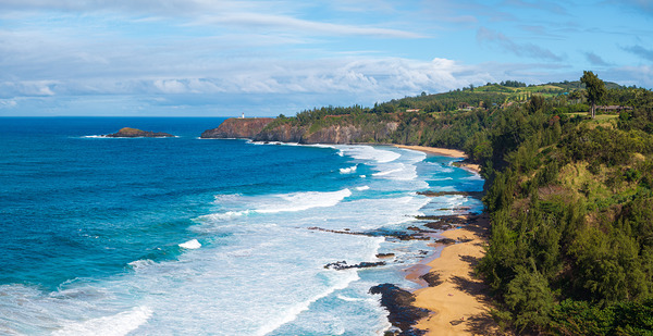 Overhead view of Kauapea or Secret beach to Kilauea lighthouse by Steve Heap
