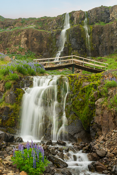 Budareyrarfoss waterfall cascades down the mountain by the port  by Steve Heap