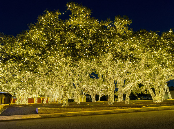 Holiday lights spectacular in Johnson City Texas by Steve Heap