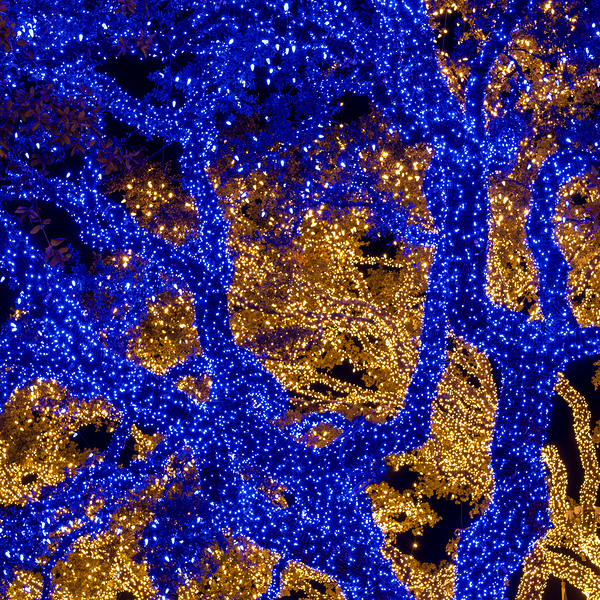 Holiday lights spectacular in Johnson City Texas by Steve Heap