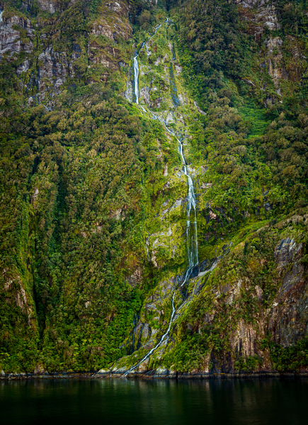 Fjord of Milford Sound in New Zealand by Steve Heap