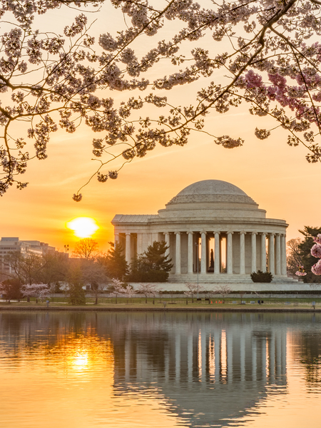 Sun rising by Cherry Blossoms and Jefferson Memorial by Steve Heap