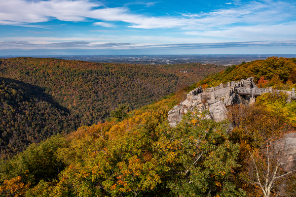 Coopers Rock state park overlook near Morgantown by Steve Heap