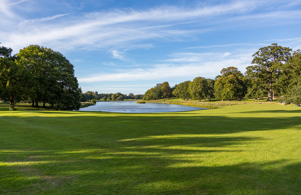English lawn running down to lake by Steve Heap