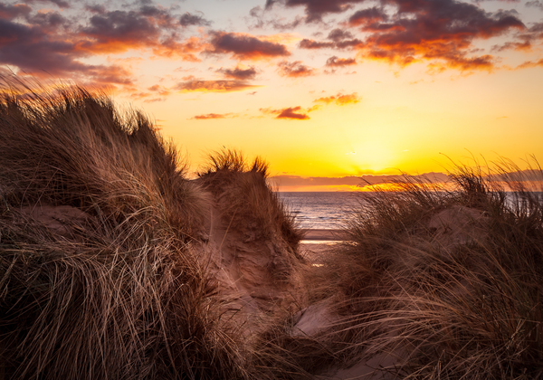 Sunset over Formby Beach through sand dunes by Steve Heap
