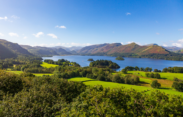 Derwent Water from Castlehead viewpoint by Steve Heap