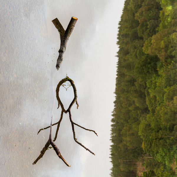Reflection of branch in Coniston Water  by Steve Heap
