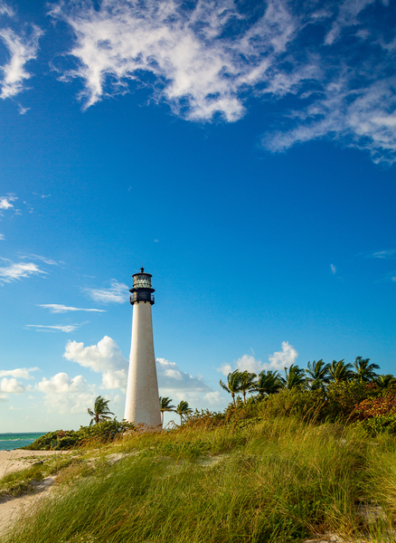 Beach scene at Cape Florida lighthouse in Bill Baggs by Steve Heap