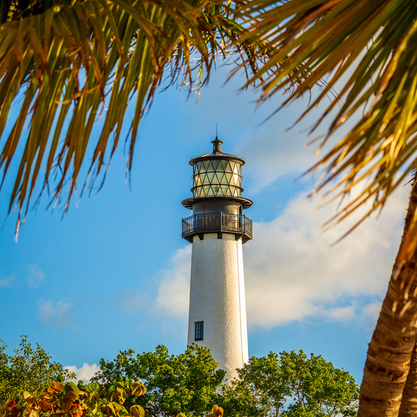 Cape Florida lighthouse in Bill Baggs State Park by Steve Heap