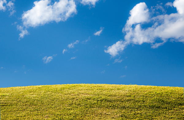 Green grassy lawn with blue sky and clouds by Steve Heap