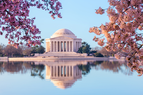 Beautiful early morning Jefferson Memorial wall art by Steve Heap