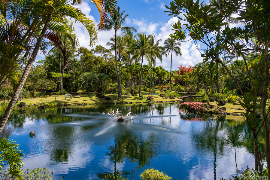 Gorgeous lagoon and lake in the Na Aina Kai sculpture garden  Print