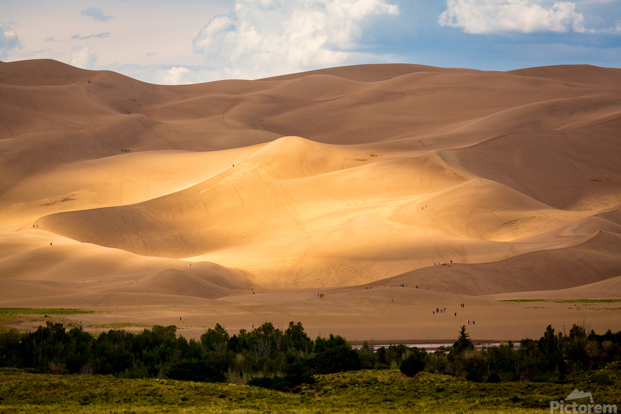 People on Great Sand Dunes NP   Print