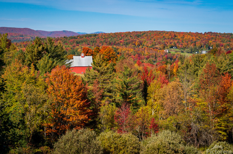 Grandview Farm barn with fall colors in Vermont  Print