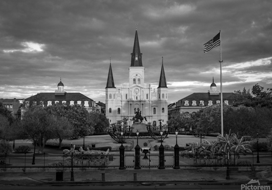 Monochrome view of Cathedral Basilica of Saint Louis  Print