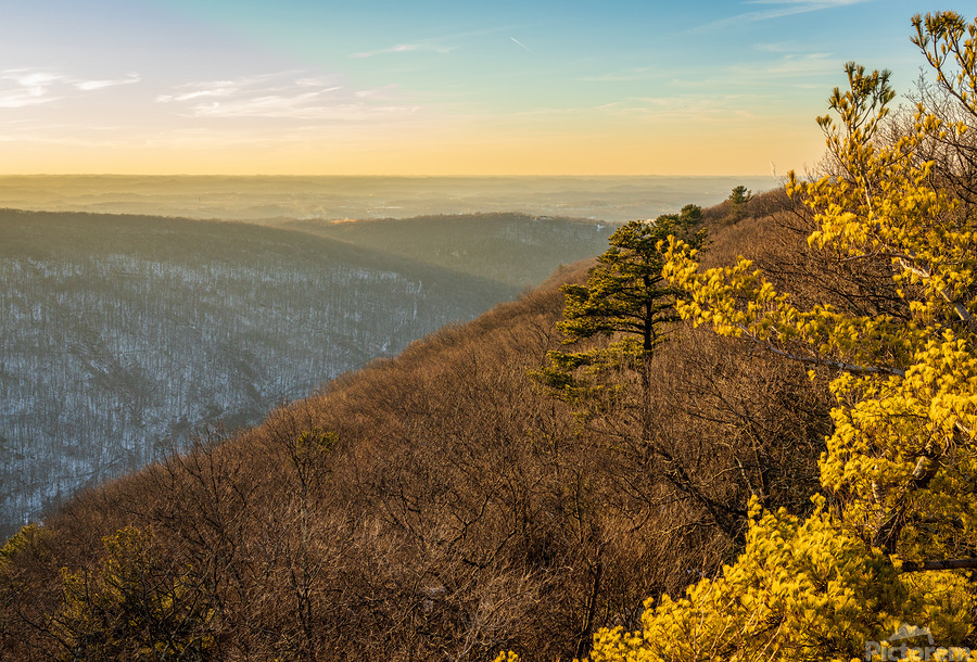 Cheat River Canyon at Coopers Rock on winter afternoon  Print