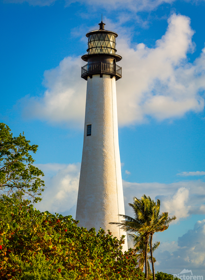 Vertical view of Cape Florida lighthouse in Bill Baggs  Print