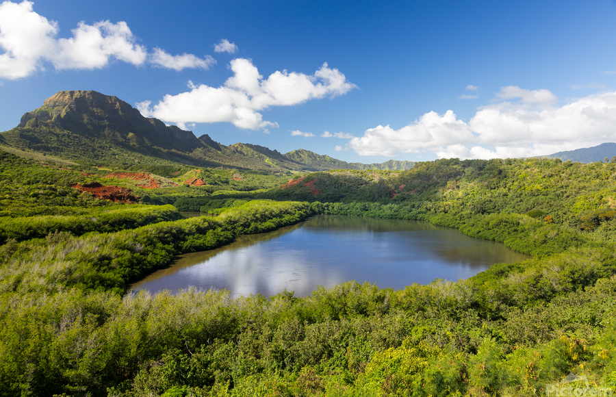 Menehune fishpond Kauai Hawaii  Print