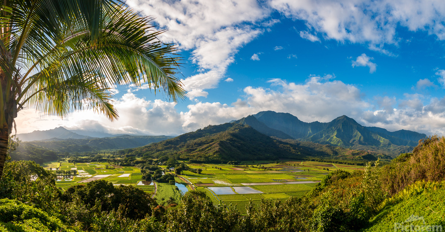 Hanalei valley from Princeville overlook Kauai  Print