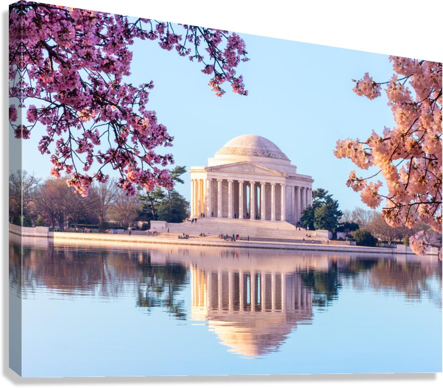 Beautiful early morning Jefferson Memorial with Cherry blossoms Canvas Print