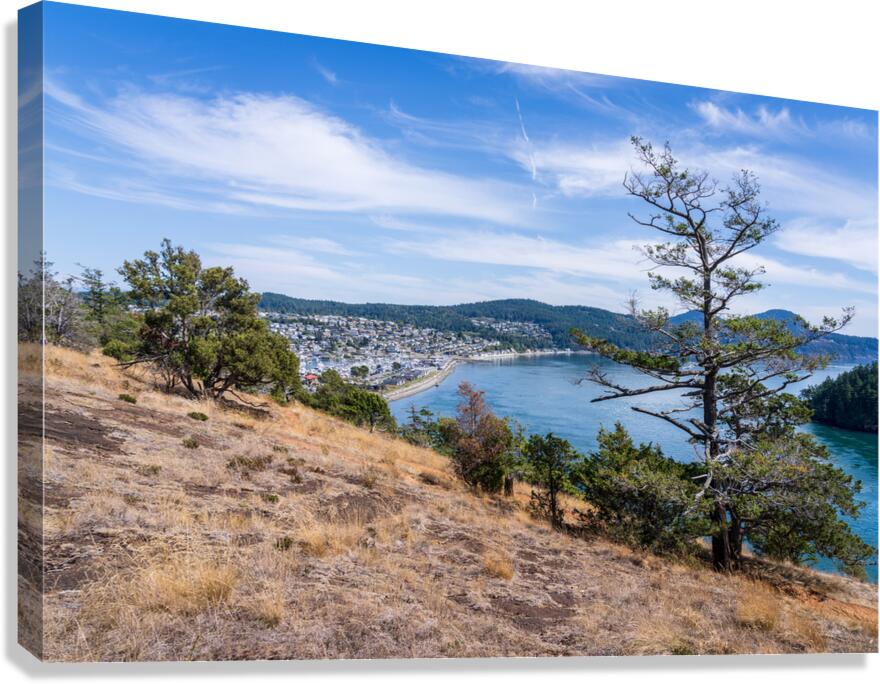 View from the Washington Park overlook over the town of Anacorte Canvas Print
