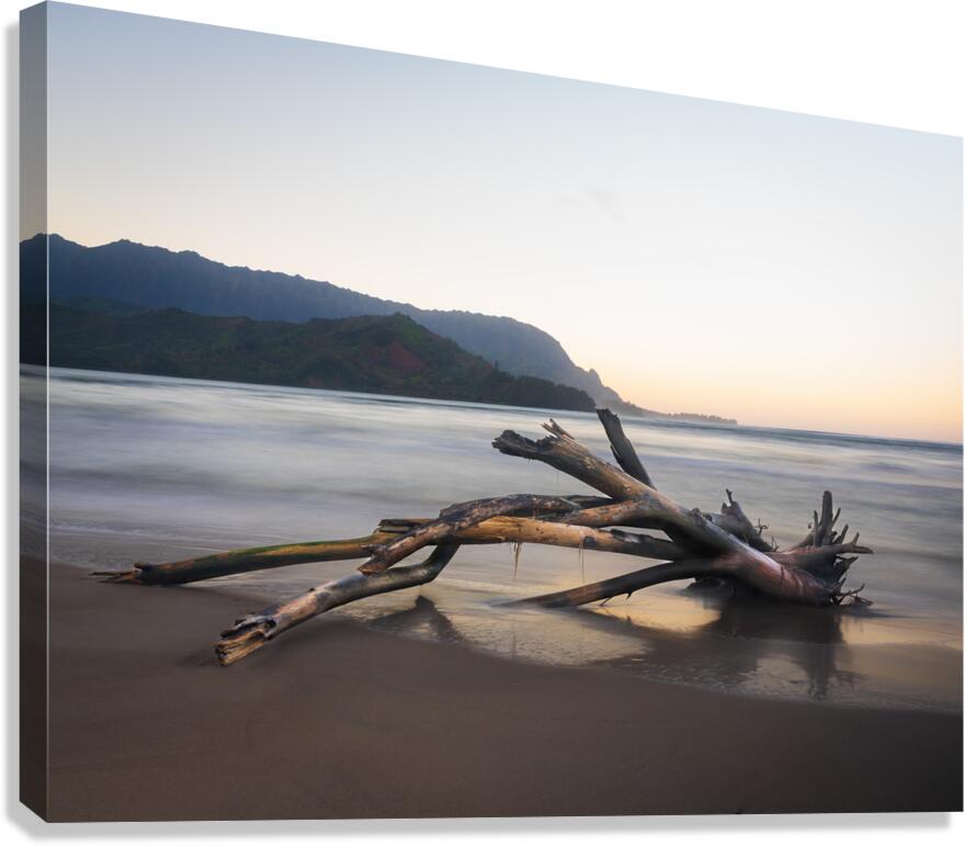 Whisper of the Tide driftwood on Hanalei bay beach at sunrise Canvas Print