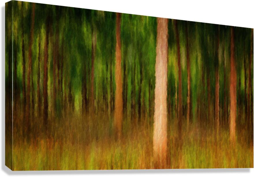 Oil painting impression of mahogany forest Canvas Print