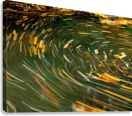 Swirling leaves on Deckers Creek Canvas Print