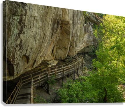 Pathway in Audra State Park near Buckhannon in West Virginia Canvas Print